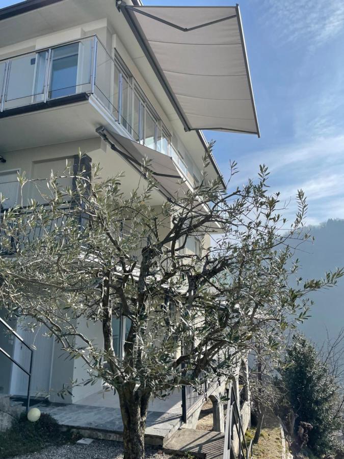 Casa Colmegna Mit Traumhaften See- Und Bergblick Луино Экстерьер фото
