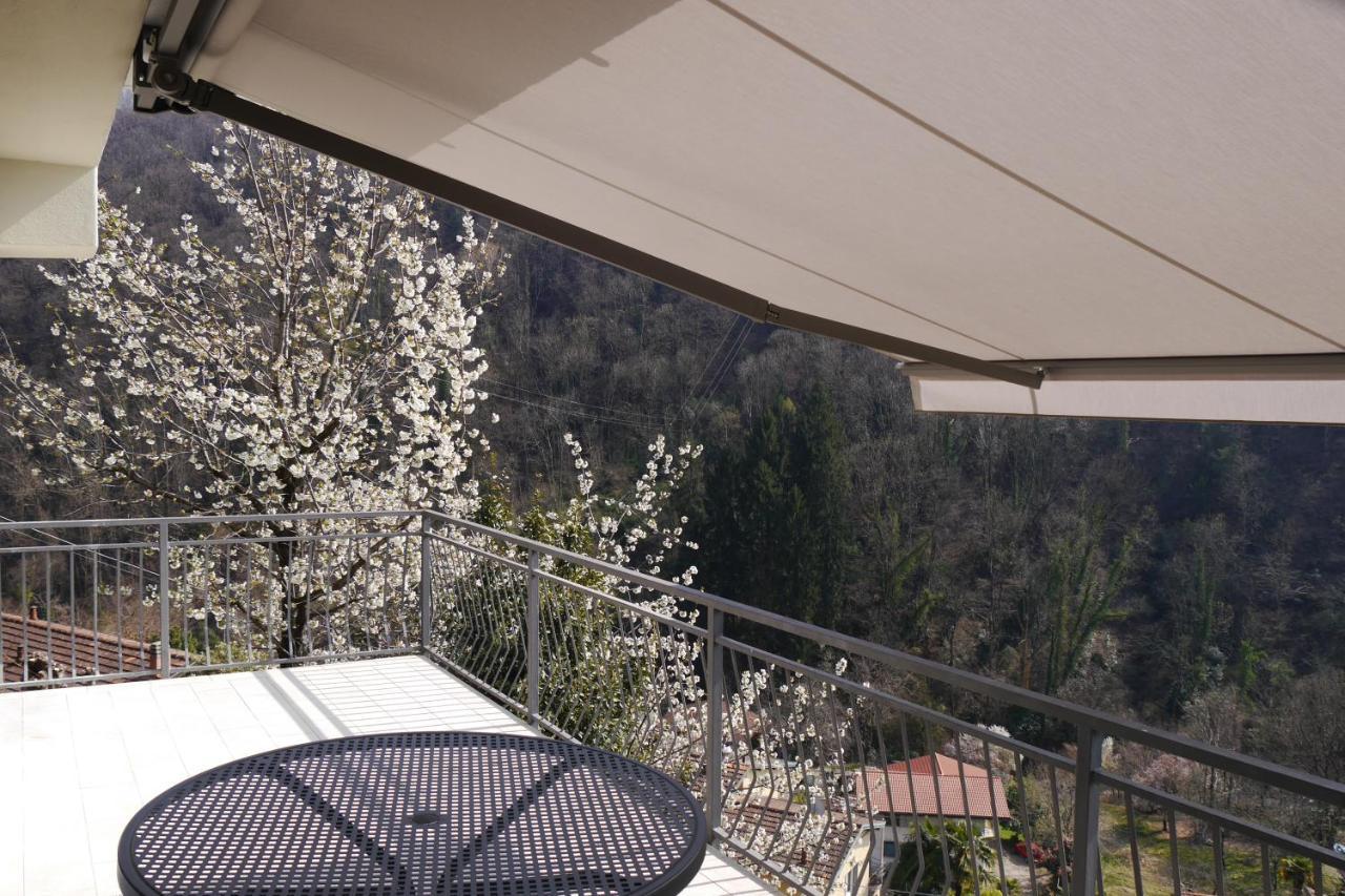 Casa Colmegna Mit Traumhaften See- Und Bergblick Луино Экстерьер фото